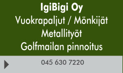 IgiBigi Oy logo